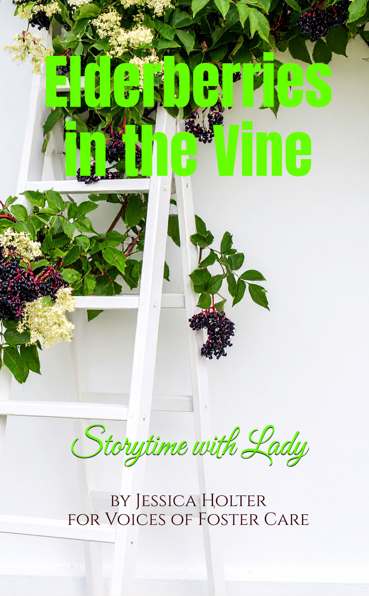 Elderberries in the Vine — Pocketbook